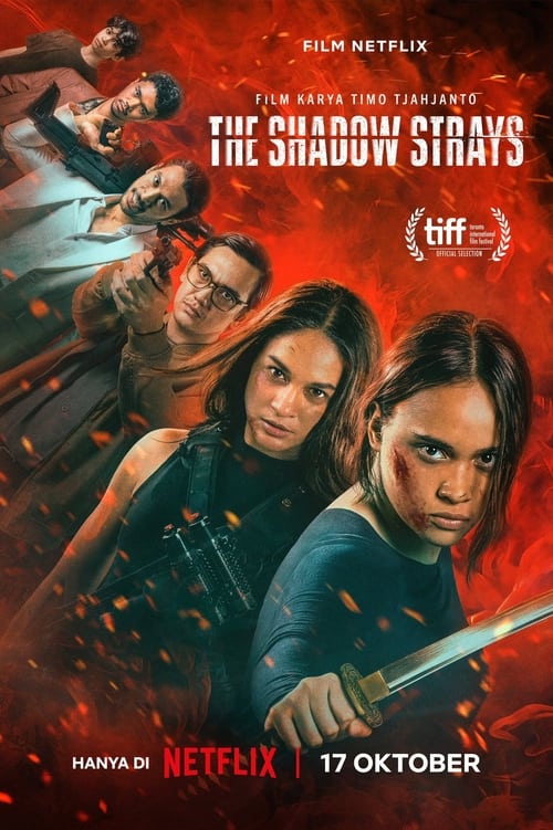 The Shadow Strays streaming gratuit vf vostfr 