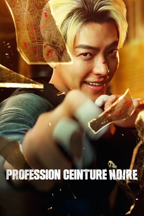 Profession ceinture noire streaming gratuit vf vostfr 